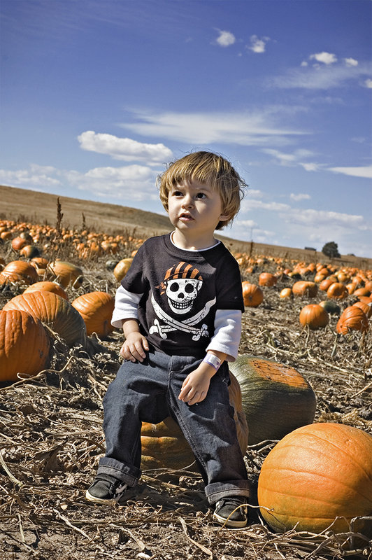 Pumpkin Patch