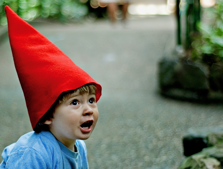 My son, the garden gnome.