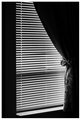 Day 29:  The Hospital Window