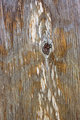 plywood.jpg