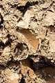 dirt.jpg