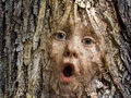 Mary-in-the-Tree.jpg
