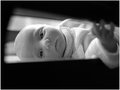 Week 17 B: Coralee
