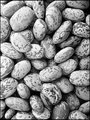 Week 16 B: Pintos