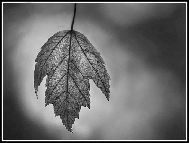 Day 2: Fall Is In The Air