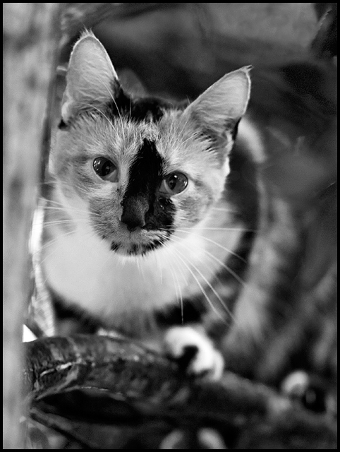 Day 18:  You look'n at me?