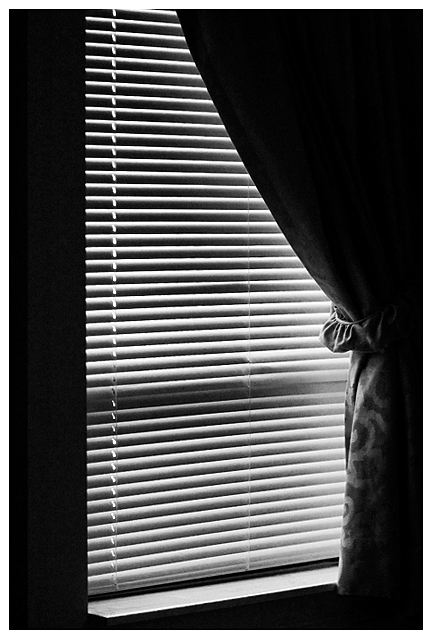 Day 29:  The Hospital Window
