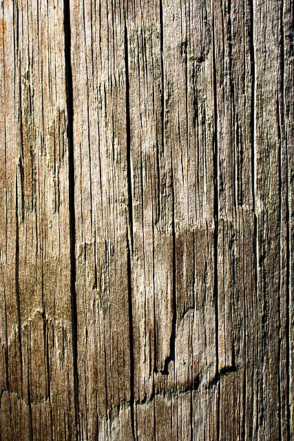 telephone-pole.jpg