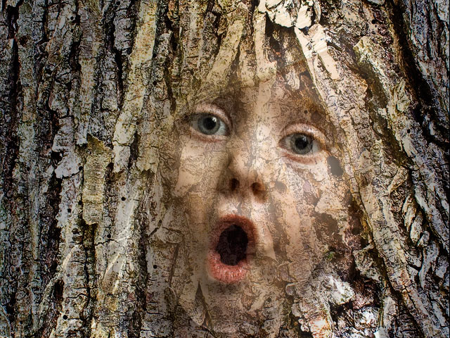 Mary-in-the-Tree.jpg