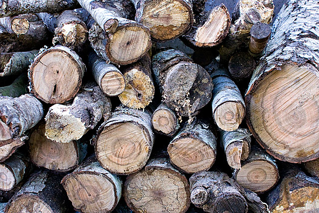 fire-wood.jpg