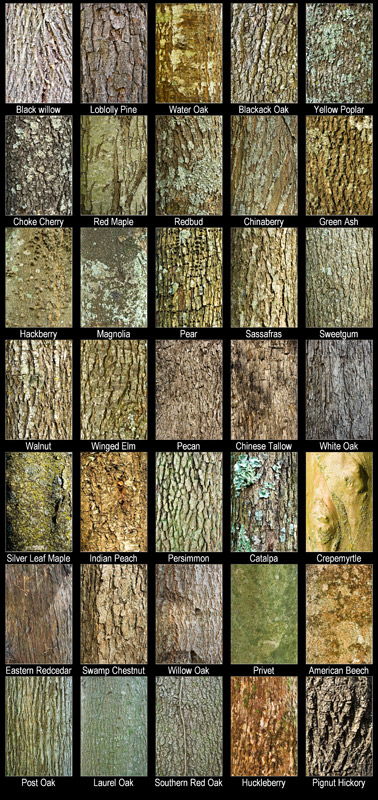 ContactSheet.jpg