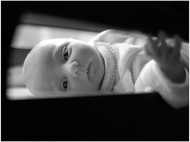 Week 17 B: Coralee