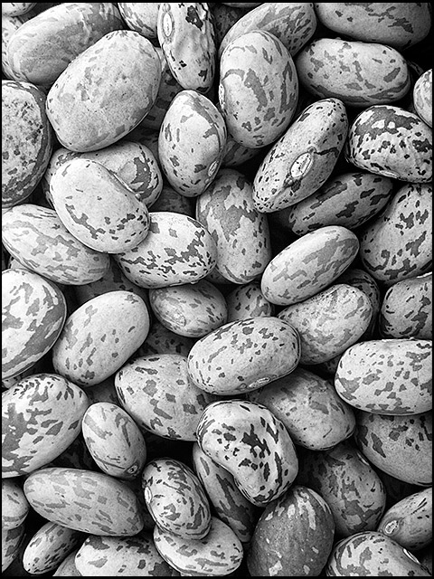 Week 16 B: Pintos