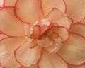 Unfolding