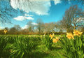 City Park In Spring