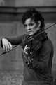 Viola