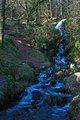 Woodland Waterfall