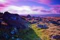 Dartmoor Rocks