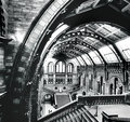Inside the Museum of Natural History, London