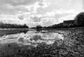 Low Tide Hammersmith