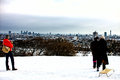 Looking Out at Snow