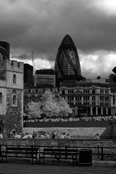 IMG_2681.jpg