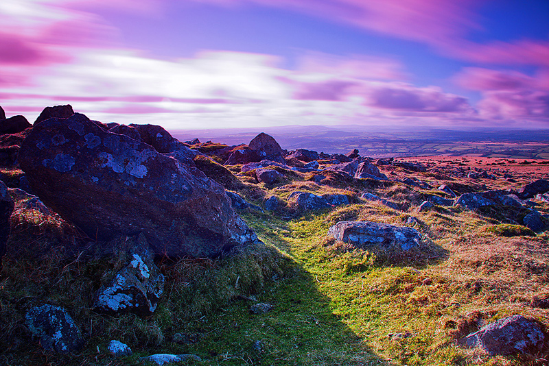 Dartmoor Rocks