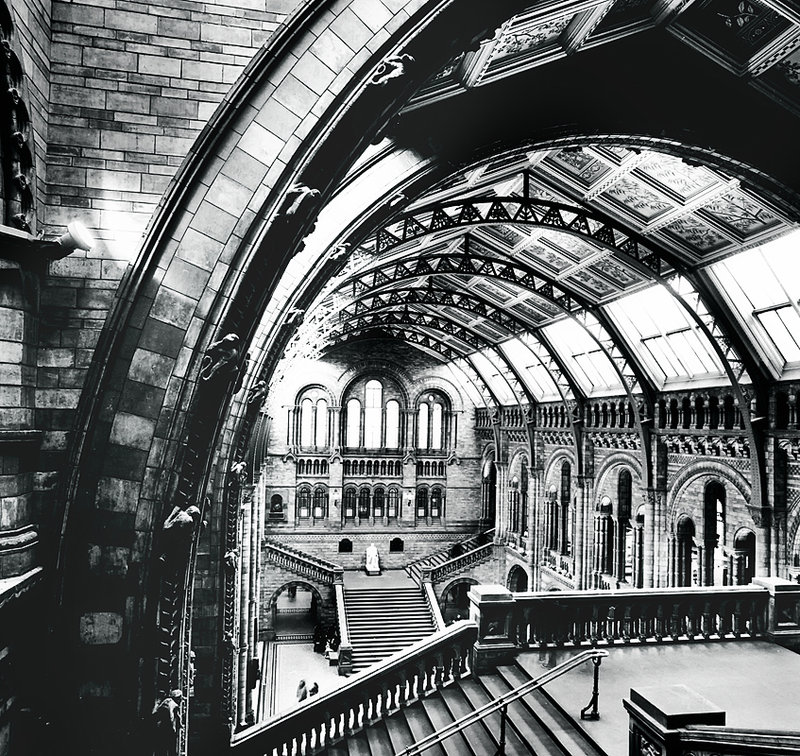 Inside the Museum of Natural History, London