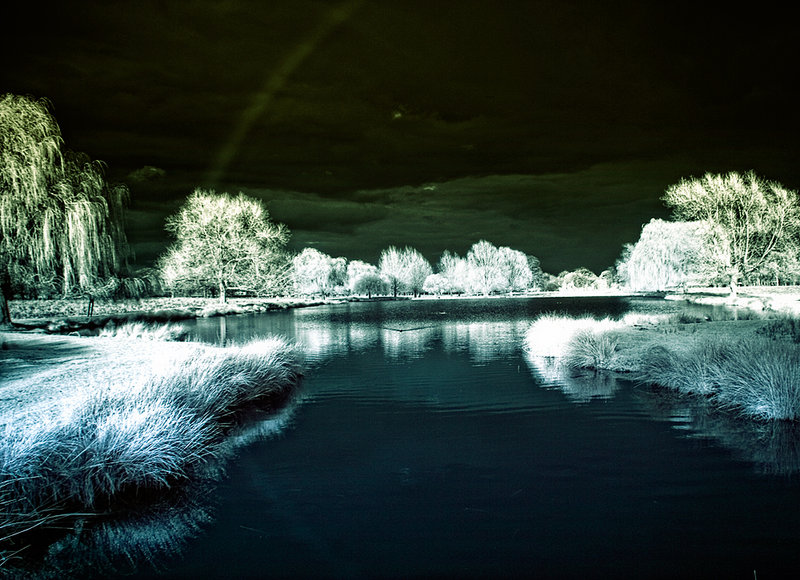 Bushy Park Lake