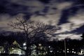 Evening At Newton Centre