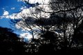 Boston 1-2-07-5-640 ( grabbing the clouds )