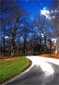 Boston 1-2-07-14b-640 ( Quiet Path )