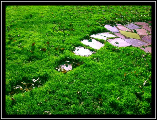 After the rain