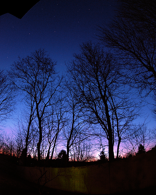 Starry, Starry Night