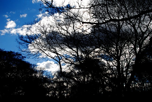 Boston 1-2-07-5-640 ( grabbing the clouds )