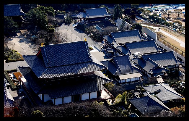 Tokyo Shrines