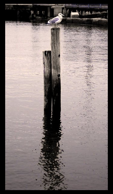 Lynn-10-24-07-7-640