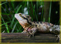 ' . substr('//images.dpchallenge.com/images_portfolio/65000-69999/68413/120/644161.jpg', strrpos('//images.dpchallenge.com/images_portfolio/65000-69999/68413/120/644161.jpg', '/') + 1) . '