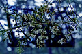 ' . substr('//images.dpchallenge.com/images_portfolio/65000-69999/68413/120/647402.jpg', strrpos('//images.dpchallenge.com/images_portfolio/65000-69999/68413/120/647402.jpg', '/') + 1) . '