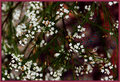 ' . substr('//images.dpchallenge.com/images_portfolio/65000-69999/68413/120/652432.jpg', strrpos('//images.dpchallenge.com/images_portfolio/65000-69999/68413/120/652432.jpg', '/') + 1) . '