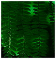 Day 28 - The-Final-Curtain