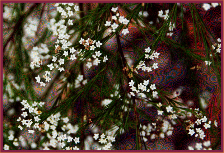  Day 27 - Hippie flowers