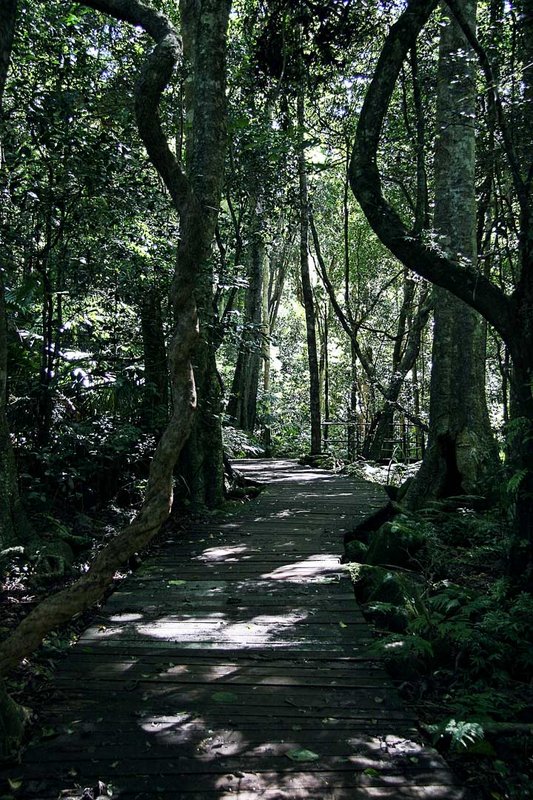 Boardwalk