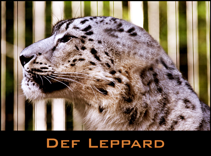 Def Leppard
