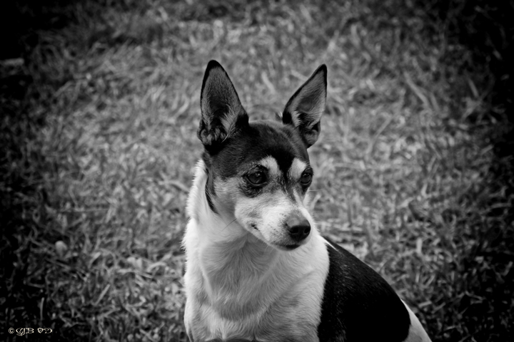 Katee B&W