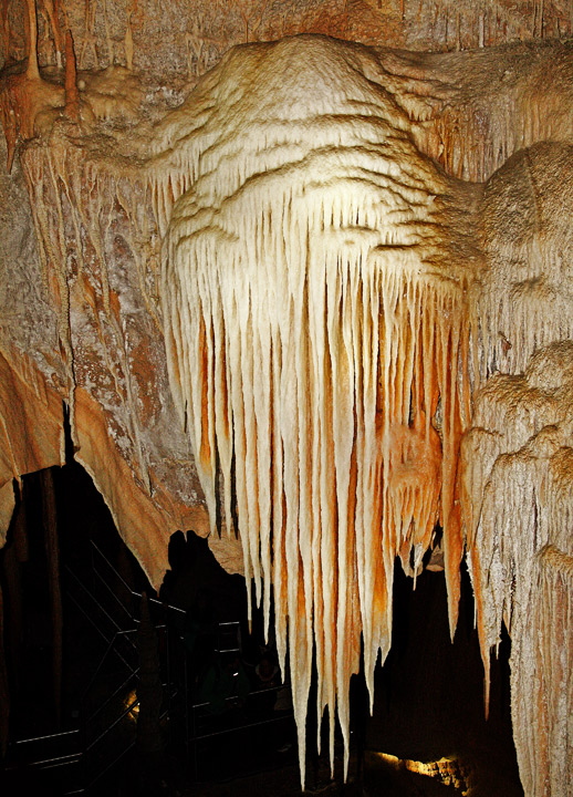 The Indian Canopy