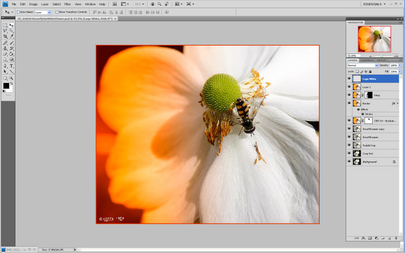 Fullscreen capture 2062010 65145 PM