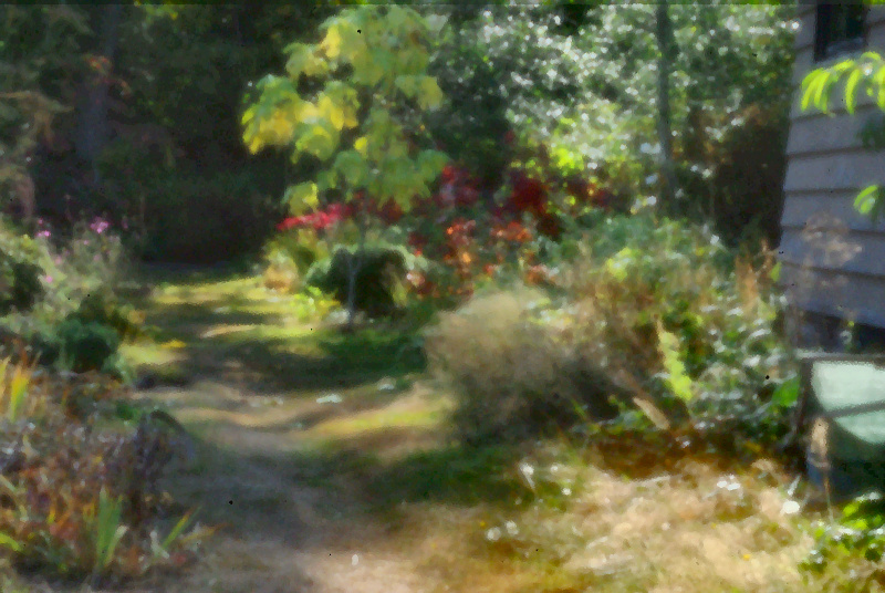 Pinhole Path B
