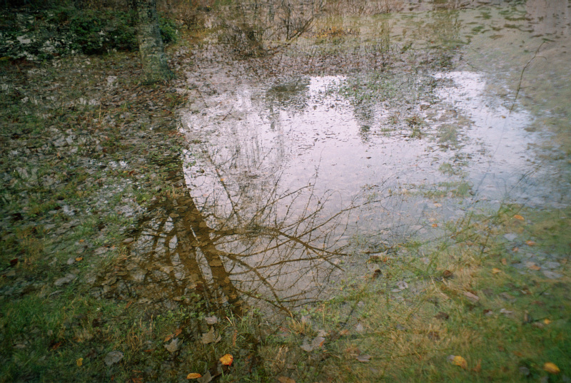 filmszr001-004