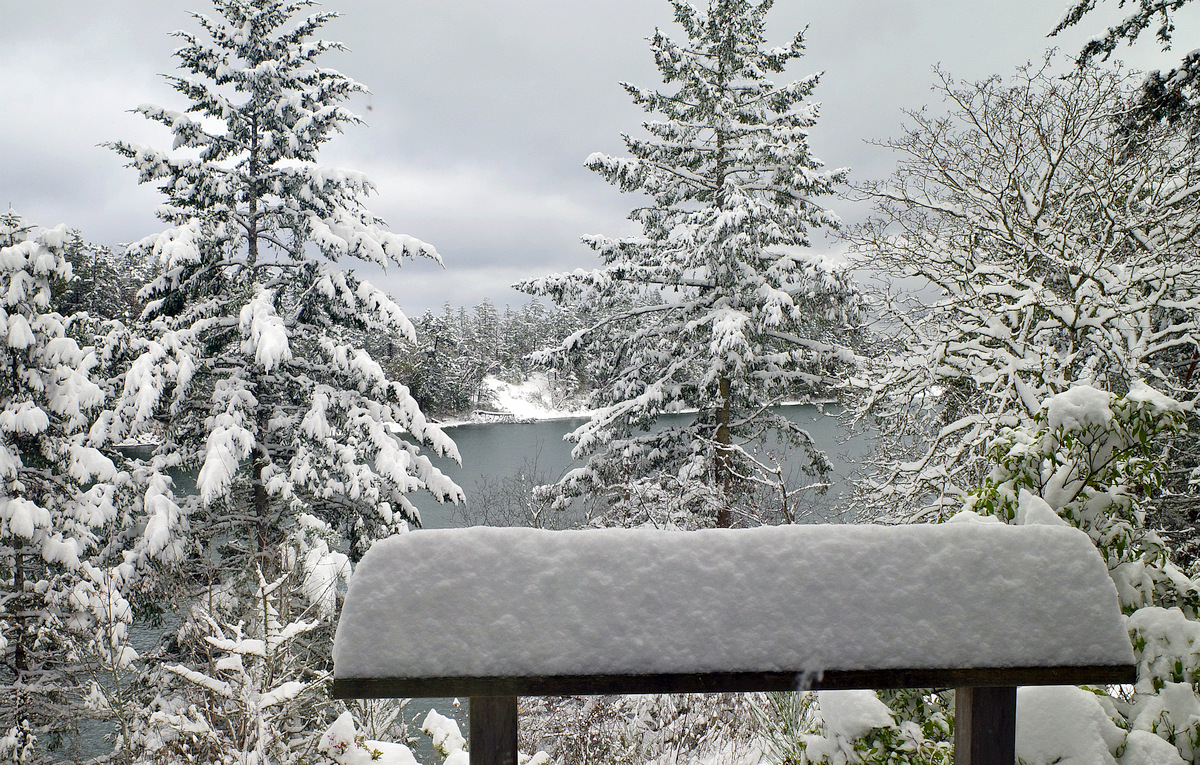 snow december 22